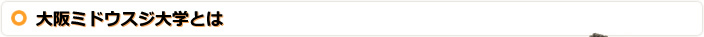 大阪ミドウスジ大学とは